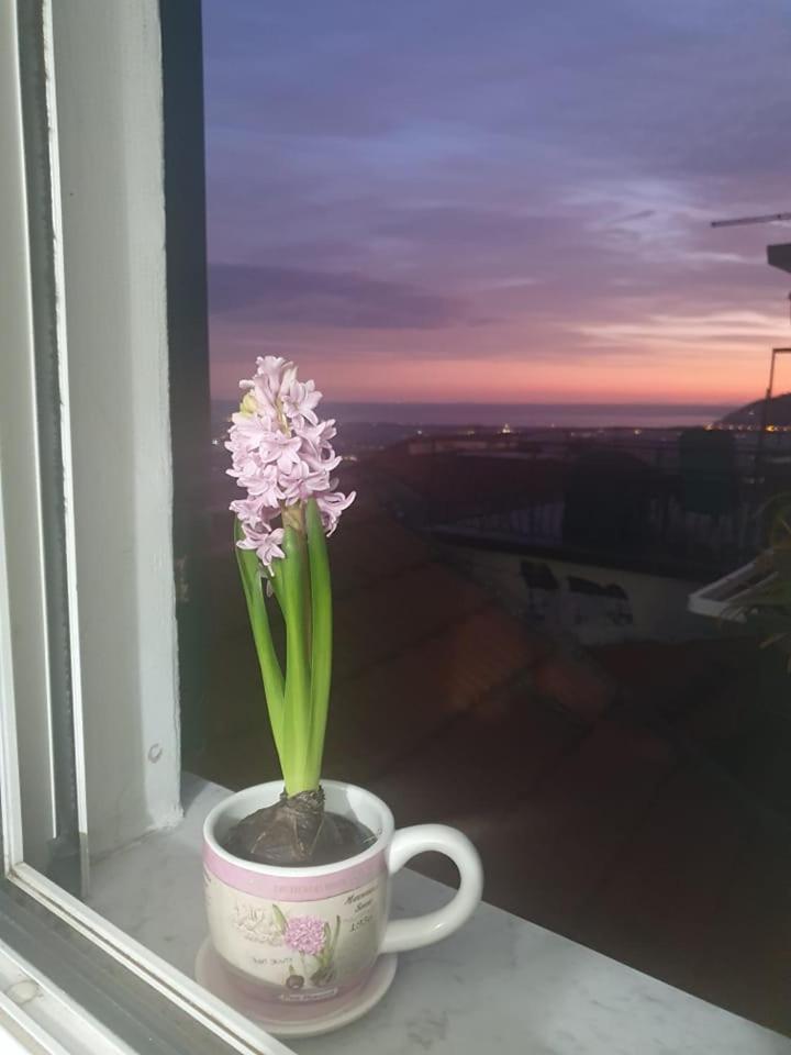 Appartamento Bellavista Кастельнуово-ди-Магра Экстерьер фото